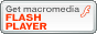 Flash Player ̃_E[h