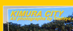 KIMURA CITY
